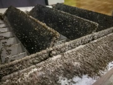 Dirty leaves on Air Conditioning Regsiter