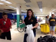 Sorting Toys at Salvation Army