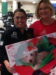 Sorting Toys at Salvation Army