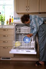 Bradenton HVAC - Photo of Dishwasher