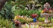 Selby Gardens