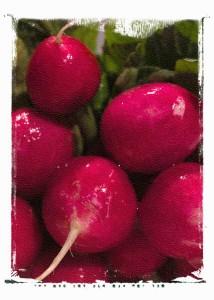 Foods to Cool Your Temperature - Radishes
